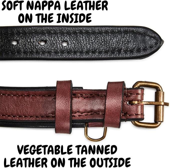Real Leather Dog Collar Padded Soft Interiors with Premium Vintage Look Handcrafted Heavy Duty with Tag Ring for Small Medium and Large Pets (Small (1" Wide for 10.75" - 13.75" Neck), Oxblood)