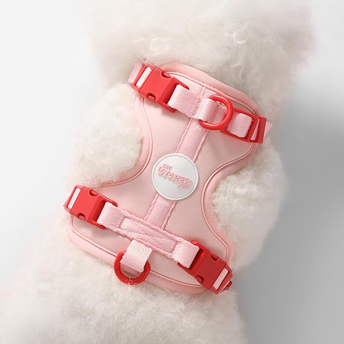 HNS1000G Arlo Extra Small Adjustable Soft Padded No Pull Pet Harness with 3 Buckles and 3 Leash Clips, Paloma