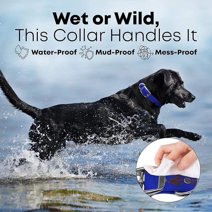 Regal Dog Products Small Blue Waterproof Dog Collars with Custom Engraved Name Plate | Vinyl Coated, Anti, Easy to Clean Personalized Biothane Dog Collar - Other Sizes for Medium & Large Dogs