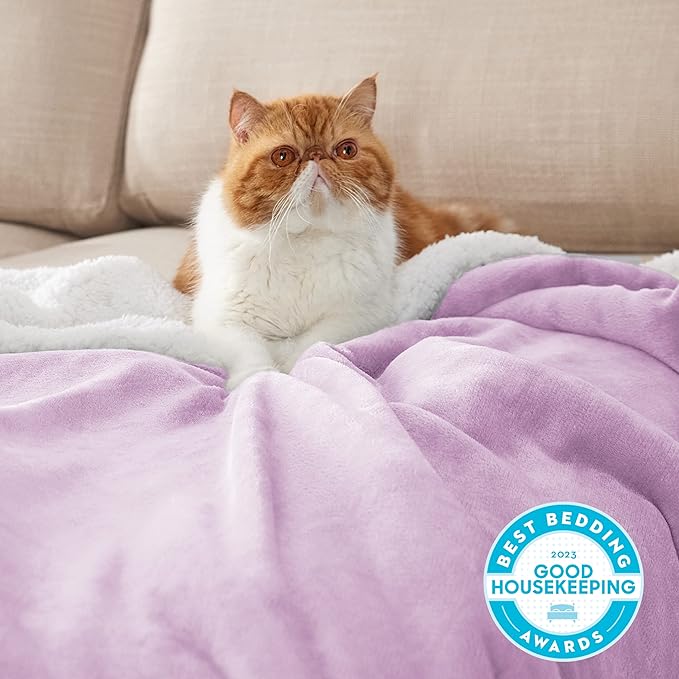 Bedsure GentleSoft Sherpa Fleece Blanket Queen Size for Bed, Non-Heated, Thick and Warm Throw for Girls and Women, Soft Fuzzy Plush Queen Blanket for Winter, Lilac, 90x90 Inches