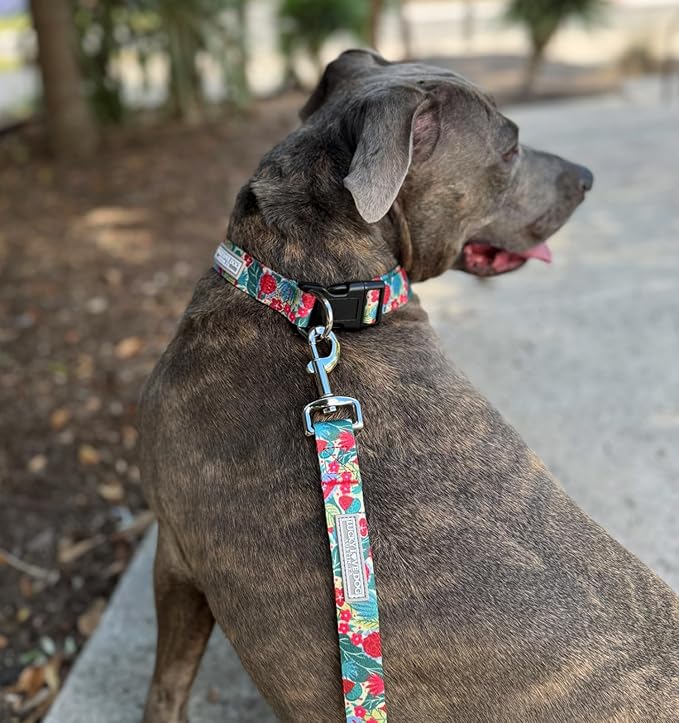 Lucky Love Dog - Adjustable Dog Collar with Easy Click Buckle for Medium, Durable, & Comfortable for Male & Female Dogs, Pet Collar for Puppies & Adult Dogs - Ginny, Medium