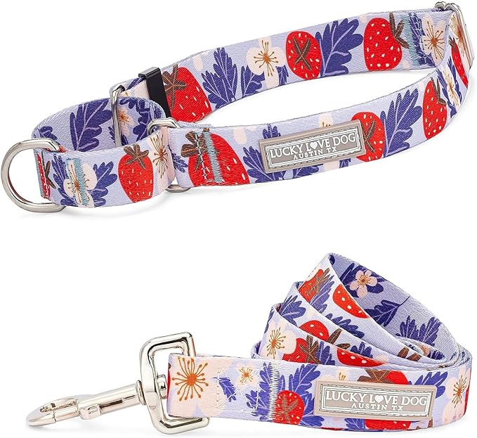 Lucky Love Dog Martingale Collar and Leash Set, Premium Fun Girl No Slip Collars, Strawberry Martingale Dog Collar and Leash Set, Great for Whippets, Greyhounds, and More (Sweet Berry, Large - Combo)
