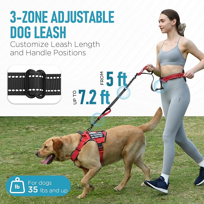 Hands Free Dog Leash, Waist Bungee Leash for Large Dogs, 6-8ft Adjustable Heavy Duty Leashs(50-120 lbs)