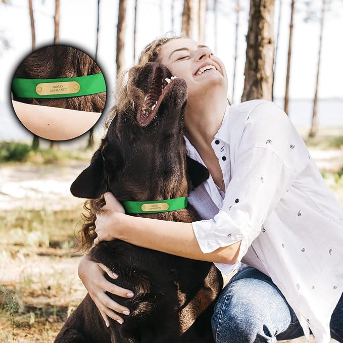 Regal Dog Products Medium Light Green with Custom Engraved Waterproof Dog Collar and Leash Set | Waterproof Dog Collar with Double Buckle & D Ring - 5'ft Leash | Matching Dog Collar and Leash for Dogs