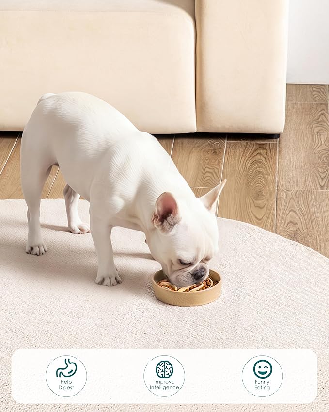 vancasso Slow Feeder Dog Bowl, 0.6 Cup Ceramic Slow Feeding Food Dish for Small Breed, Puzzle Dog Food Bowl for Fast Eater, Brown