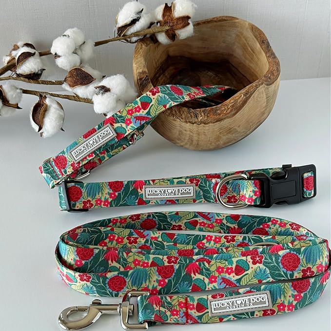 Lucky Love Dog - Adjustable Dog Collar with Easy Click Buckle for Small Dogs, Durable, & Comfortable for Male & Female Dogs, Pet Collar for Puppies & Adult Dogs - Ginny, Small
