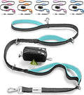 No Pull Dog Leash for Large Dogs – 6ft Highly Reflective Bungee, Heavy Duty Leash for Large Dogs, 4 Padded Handles, Strong Carabiner Clip & Rings, Includes Poop Bag Holder & Treat Pouch (Teal)