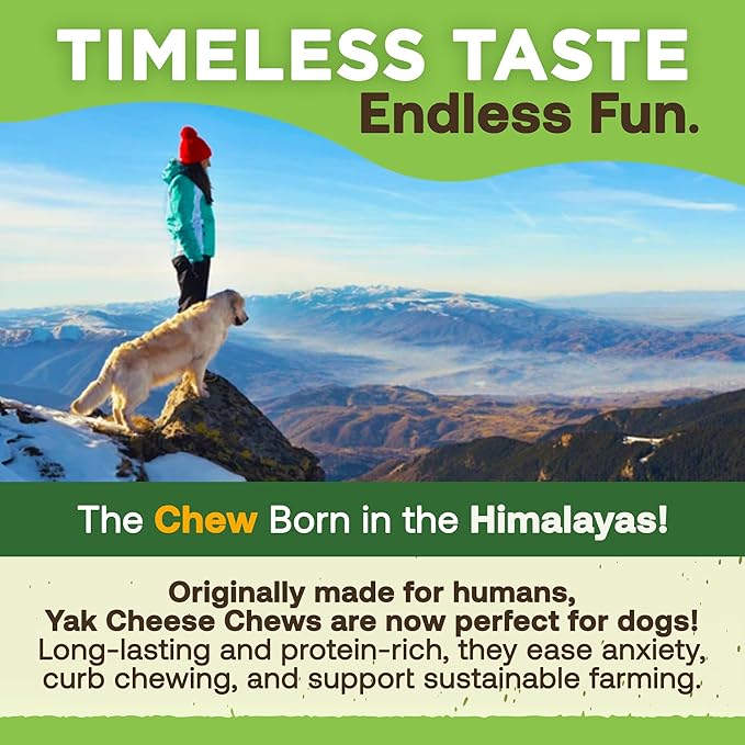 EcoKind Premium Gold Yak Cheese Himalayan Dog Chews, Healthy Dog Treats for Medium Dogs, All Natural, Long Lasting Dog Chew for Aggressive Chewers, High Protein Treat, Medium - 20+ Chews (3 lbs)