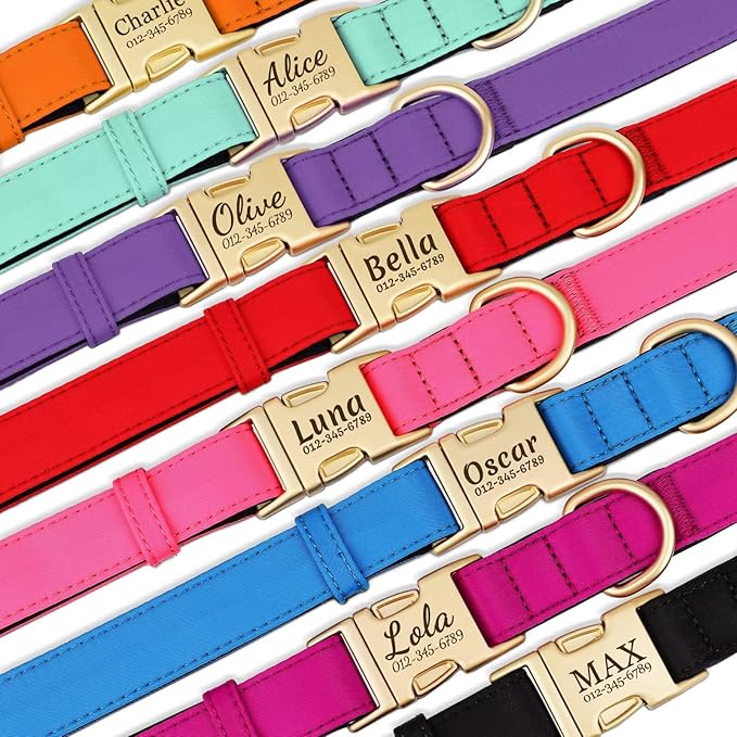 PET ARTIST Personalized Dog Collars, Colorful Pink Custom Dog Collar with Silent Engraved ID Tag, Lightweight Breathable Nylon & Soft Padded, Matching Leash & Poop Bag for Medium Dogs,M Fit 13-20"