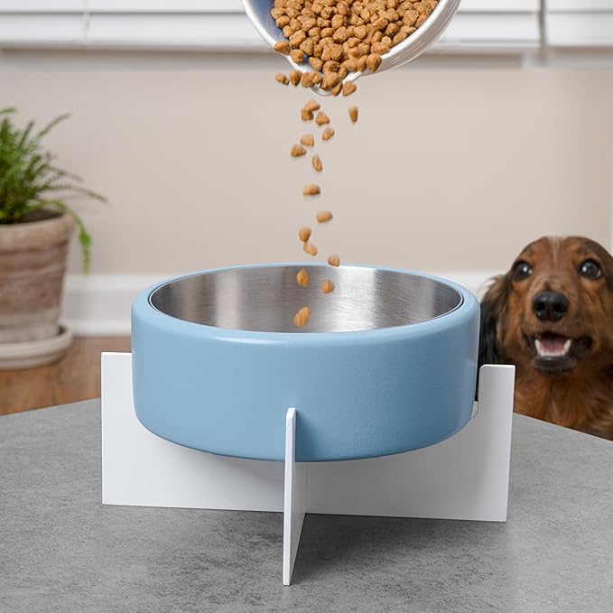 DBL3000C Intersecta Small/Medium Concrete and Stainless Steel Bowl 16oz (2 Cups) with Metal Stand Pet Feeder, Blue/White