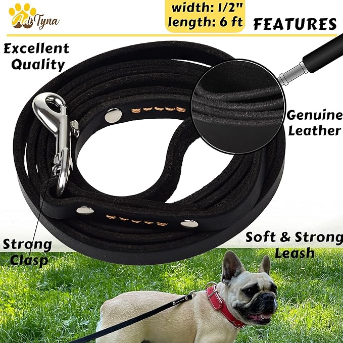 ADITYNA - Premium Leather Dog Leash - 6 ft, Heavy-Duty, Soft & Strong for Small/Medium Dogs (Small: 6 ft x 1/2", Black)