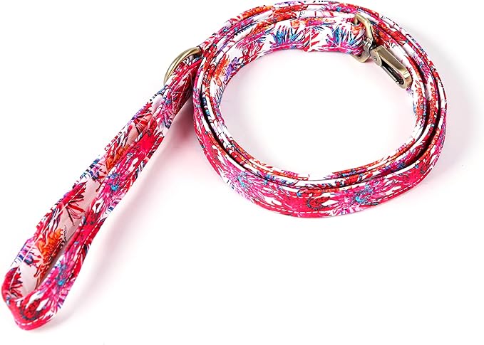 Organic Cotton Dog Leash for Small,Medium and Large Breed,Brass Hardware Pet Leash for Walking,Running and Training 6FT