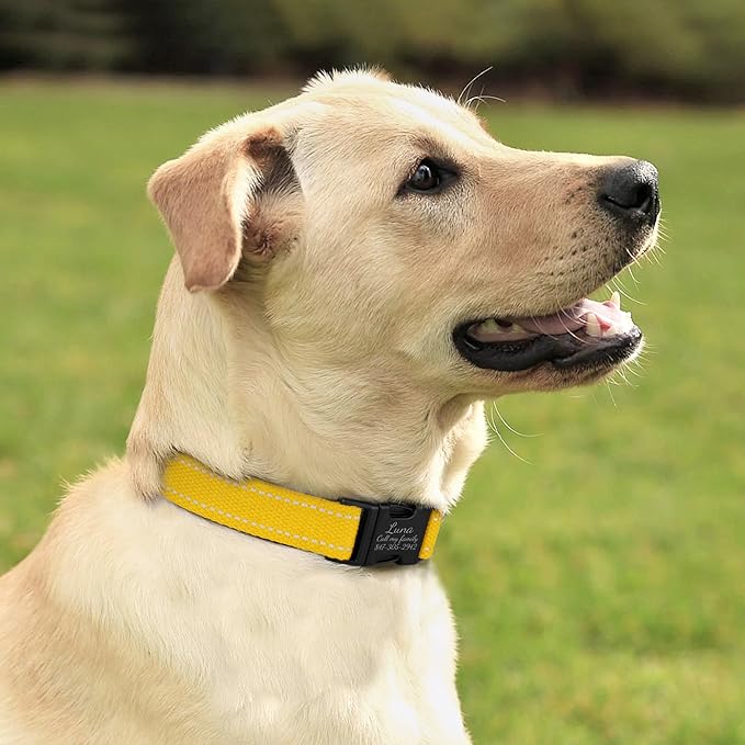 Personalized Dog Collar with Engraved Metal Buckle Reflective Cotton Custom Collar for Dogs Puppy with Name and Phone Number 8 Colors, 4 Sizes (Yellow, L, 15"-19")