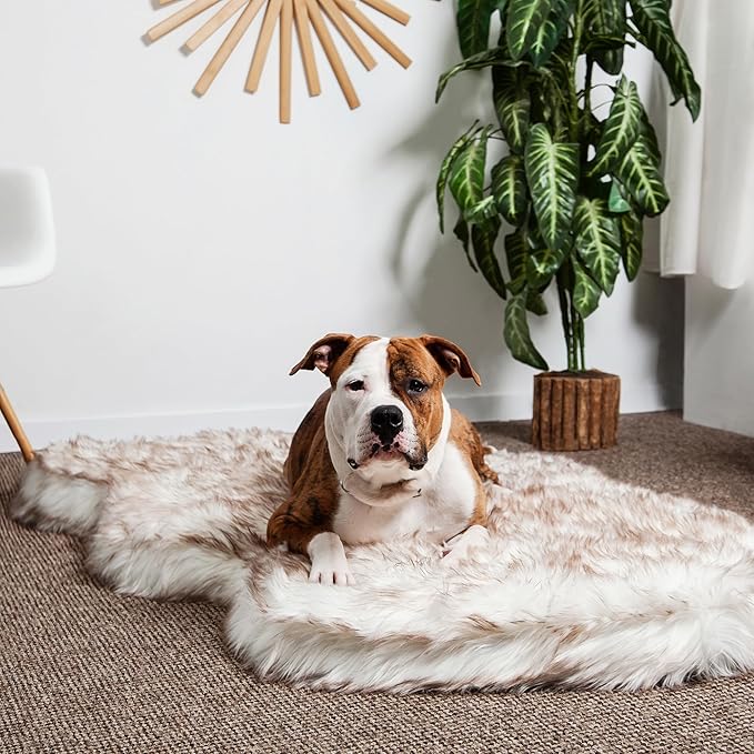IHAPPYDOG Luxury Faux Fur Orthopedic Dog Bed, Memory Foam Dog Bed for Small, Medium, Large and XL Pets, Fluffy Pet Bed with Waterproof and Washable Cover (White w/Brown Tips, 60"x35")