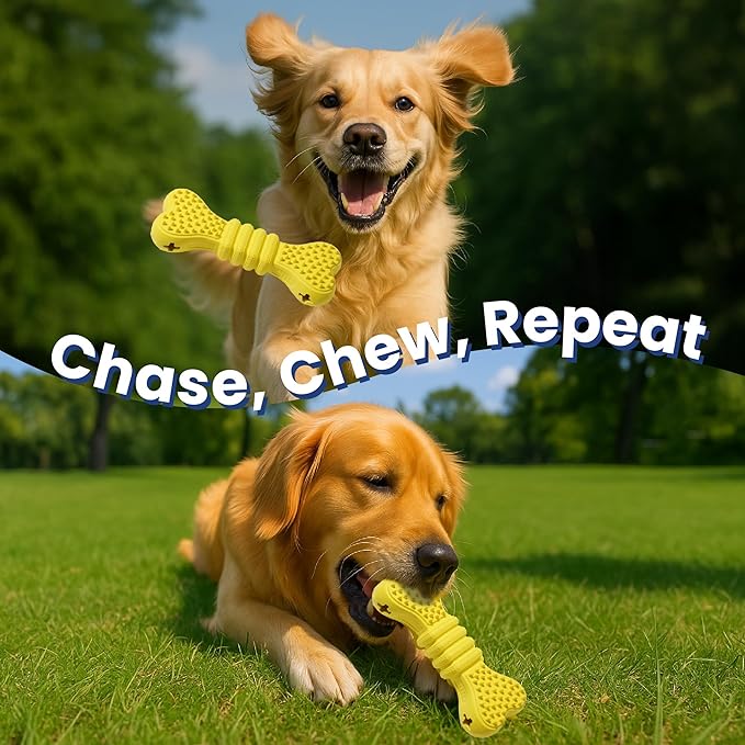 PAWSPIK Treat Dispensing Dog Chew Toy, Interactive Bone Puzzle for Mental Stimulation & Dental Health, Natural Rubber Chew Toy for Small to Medium Dogs