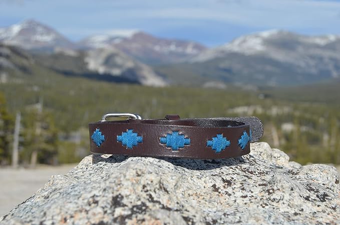 Gaucho Goods Soft Leather Dog Collar - Tahoe (M)