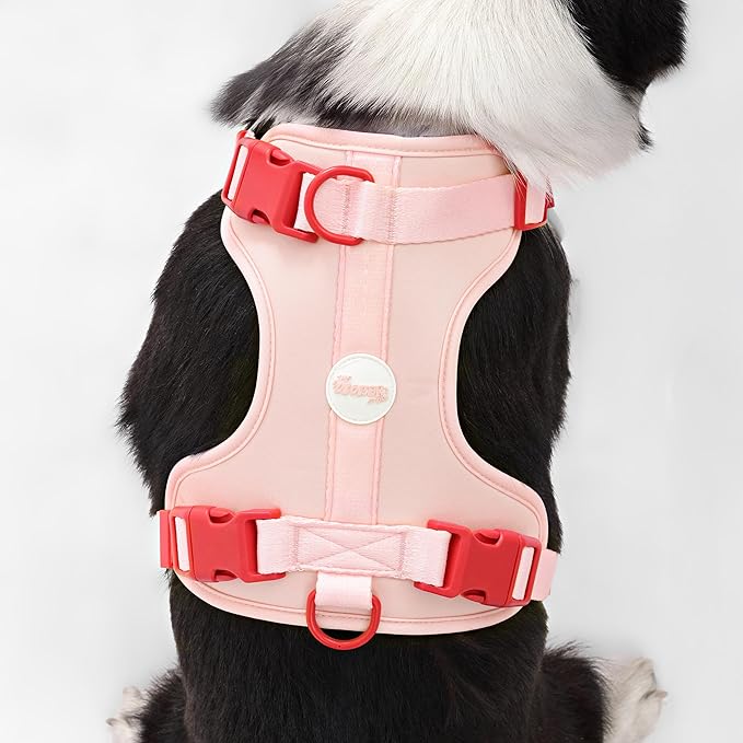 HNS1003G Arlo Large Adjustable Soft Padded No Pull Pet Harness with 3 Buckles and 3 Leash Clips, Paloma