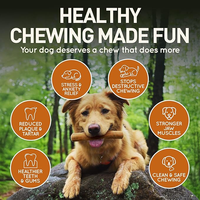 Wildfang® Coffee Wood Dog Chew, XS - Tough Chew Toys for Aggressive Chewers, Dog Teething Toys for Puppies, Training for Chewing Muscles, Coffee Tree Sticks for X-Small Dogs (Under 22 lbs)