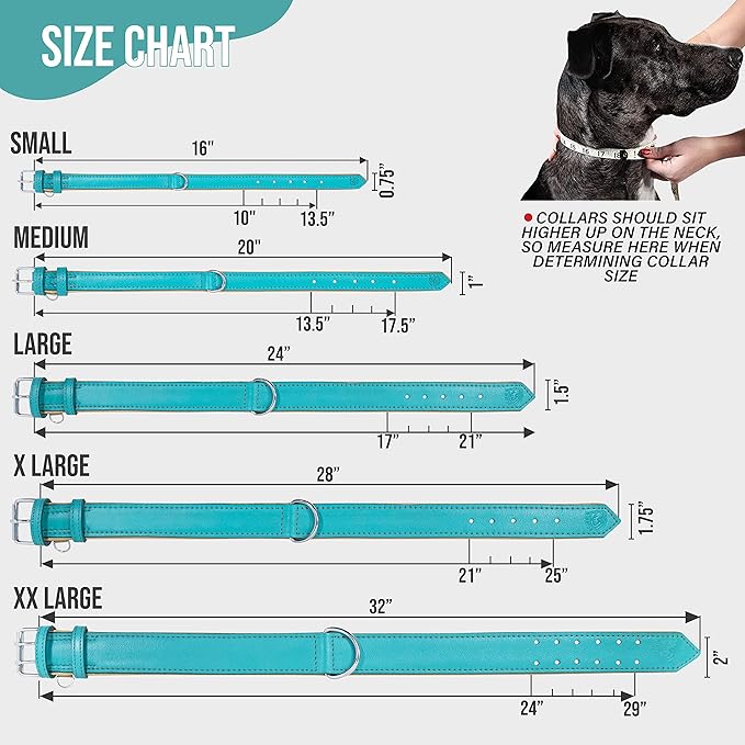 Riparo Adjustable Leather Dog Collar - Heavy Duty Wide Dog Collar for Small, Medium, Large and Extra Large Dogs with Dog Tag Holder (XXL: 2” Wide for 26”-29” Neck, Aqua)