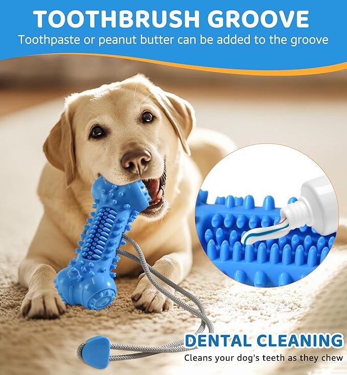 Dog Chew Toy for Aggressive Chewers, Durable Dental Cleaning Treat Toy, Food Dispensing Interactive Toy for Small, Medium & Large Dogs, Teeth Cleaning, Keep Busy, Tough Natural Rubber (Blue)