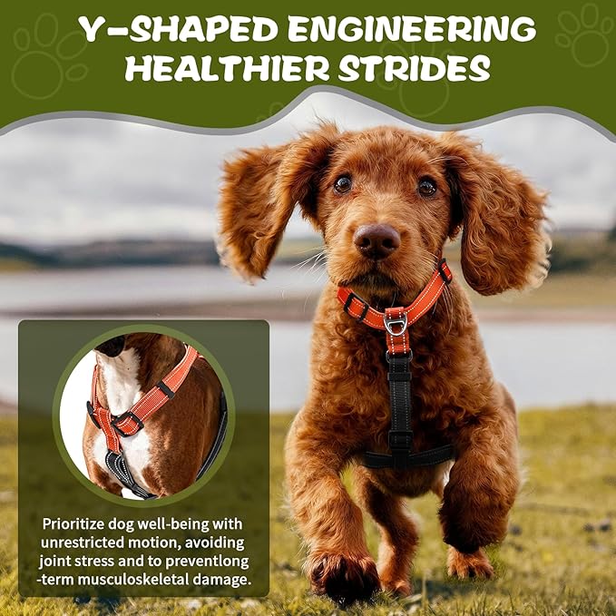 Dog Harness,Adjustable No Pull Dog Harness,Y-Shaped Design,Buckle-Neck Balance Harness with Reflective, Ideal for Dog Training Hiking, Easy Walk Harness,Durable High-Tensile Nylon-Orange-M