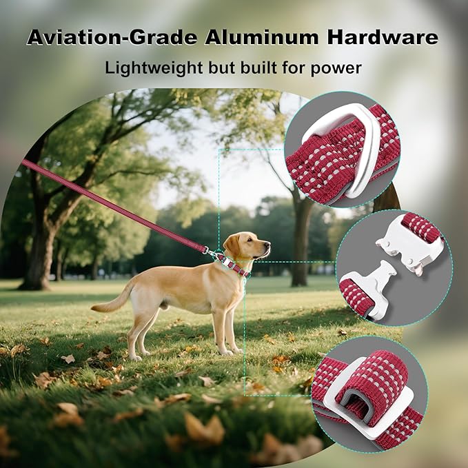 Plutus Pet Reflective Dog Collar with Aviation Aluminum Buckle, Neoprene Padded for Comfort, Lightweight, Heavy Duty Nylon Collar for Puppy Small Medium Large Dogs (Burgundy Red, S)