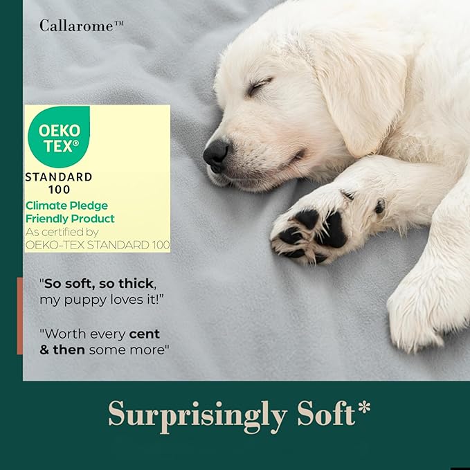 Waterproof Blanket for Bed or Couch – Soft and Leakproof Waterproof Throw Blanket, Water Proof & Stain Resistant Easy to Clean Throw Blanket Cover for Adults or Pets, Reversible Grey 60"x80"