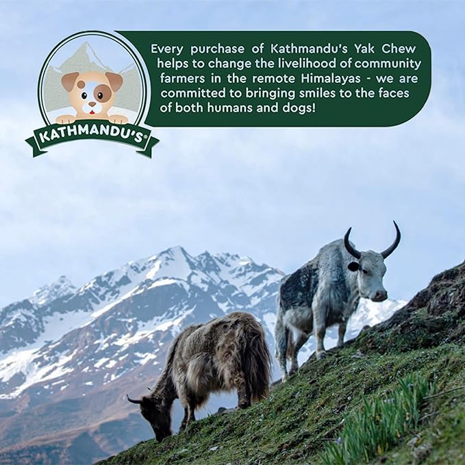 Authentic Himalayan Yak Cheese for Dogs - Small/Medium (Pack of 4) - Sourced from Pristine Himalayan Foothill, Rawhide-Free, NO preservatives