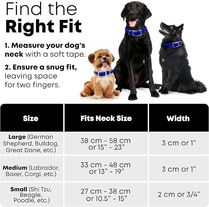 Regal Dog Products Medium Blue Waterproof Dog Collars with Custom Engraved Name Plate | Vinyl Coated, Anti, Easy to Clean Personalized Biothane Dog Collar - Other Sizes for Small & Large Dogs