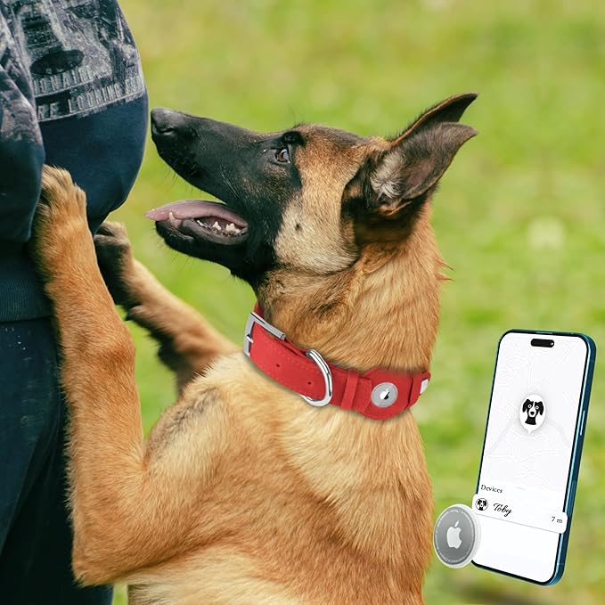 Leather Dog Collar with Airtag Holder - Apple Air Tag Dog Collars - Soft Tracking GPS Pet Collar for Small Medium Large Dogs Breed Puppy (Red, M, 12"-15" Neck Fit)