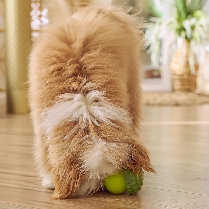 SPOT Treat Tumbler Broccoli – Freezable & Fillable Treat Dispensing Dog Toy for Small & Medium Dogs, Silicone, Easy to Clean, Interactive, Holds Small Kibble & Soft Snacks, 4.38 in