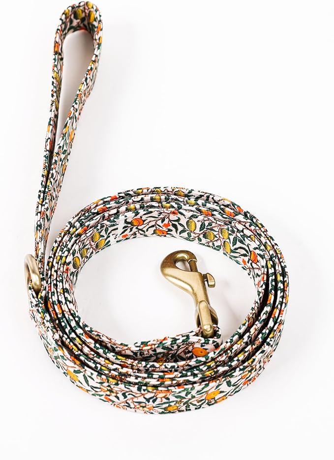 Organic Cotton Dog Leash for Small,Medium and Large Breed,Brass Hardware Pet Leash for Walking,Running and Training 6FT