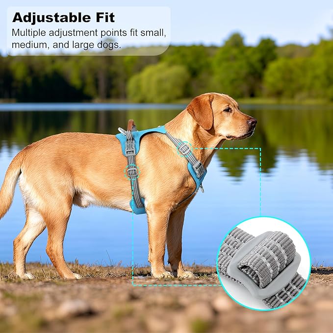 No Pull Dog Harness – Adjustable Reflective Nylon Vest for Small Medium Large Dogs, Escape Proof Training Harness with Leather Control Handle, Lightweight Aluminum Hardware (Cyan, L)
