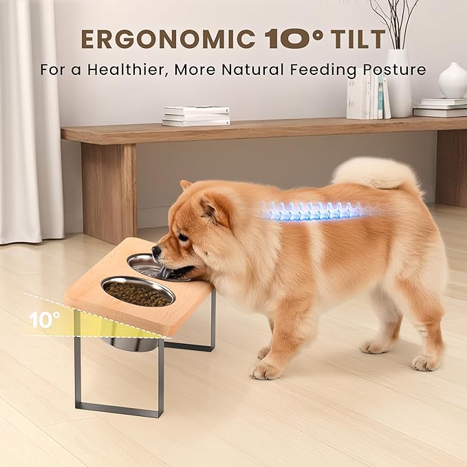 8.9" Tall Elevated Dog Bowls - Ergonomic Stainless Steel Dog Bowls with 10° Tilt in Bamboo Wood Stand for Medium Breed