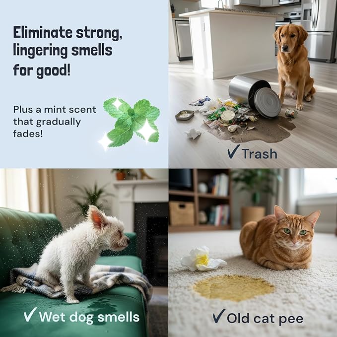 Sunny & Honey Pet Stain Remover - For New and Deep-set Stains - Pet & Kid Safe Pet Enzyme Cleaner - Fast Acting Carpet Cleaner Spray for Rugs, Upholstery & Furniture (128 fl oz, Spring Mint)