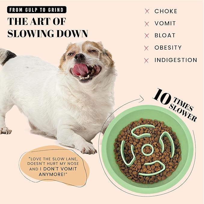 AVERYDAY Slow Feeder Dog Bowls for Medium Breeds Fits Raised Feeding Station, Puzzle Dog Food Bowls to Slow Down Eating, Dogs Feeding Bowl with Non-Slip, Slows Feeder Pet Bowl for Wet and Dry Food