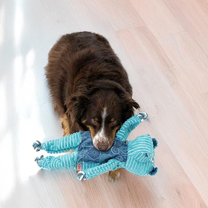 KONG XL 2 Pack - Soft Plush Dog Toy for Large Breeds - Durable, Cuddly & Squeaky - Perfect for Play & Comfort (Alligator/Hippo)