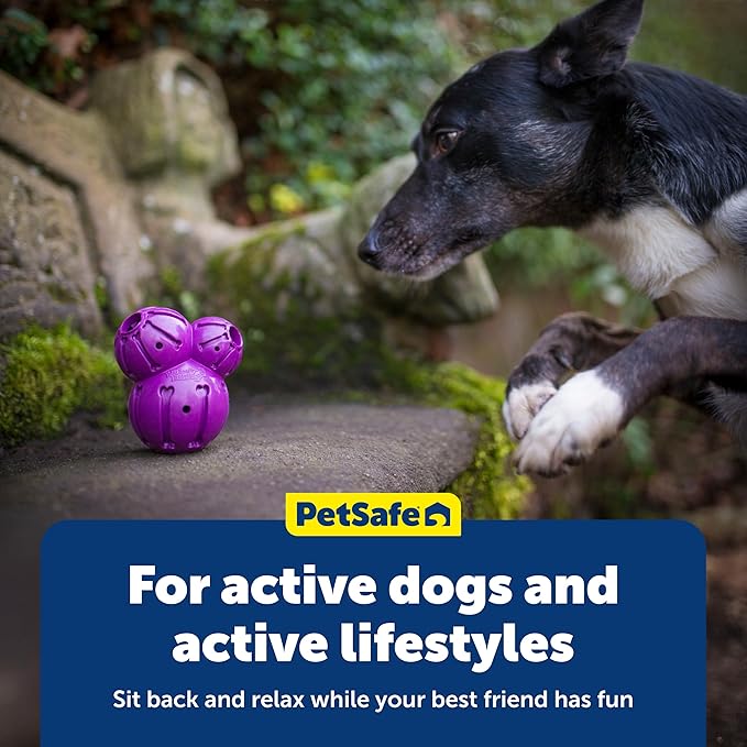 PetSafe Busy Buddy Barnacle - Treat Dispensing Dog Toy for Mental Stimulation - Natural Rubber - Durable Construction - Dishwasher Safe - Treat Meter Technology - Perfect for Peanut Butter - Medium