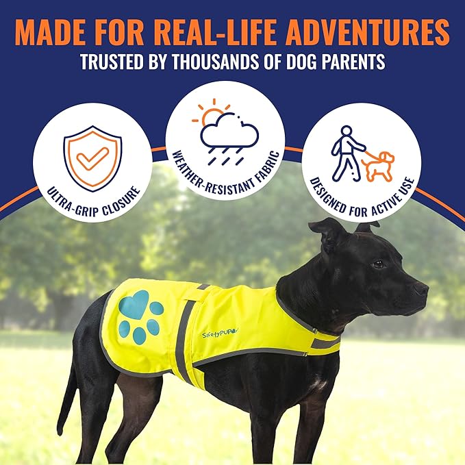 SafetyPUP XD Dog Reflective Vest – Hi-Vis Fluorescent Visibility That Helps to Safeguard Your Pet On/Off Leash in Urban & Rural Areas (Yellow, Small)