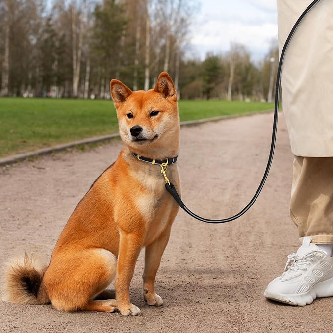 OOPSDOGGY Reflective Rolled Leather Dog Leash 6ft - Soft Training Lead for Small Medium Large Dogs Puppy - Heavy Duty Rope Puppies Leashes for Outdoor Walking Running (Black, Small)