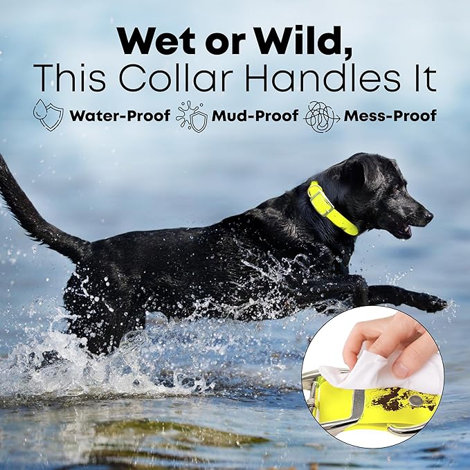 Regal Dog Products Large Yellow with Custom Engraved Waterproof Dog Collar and Leash Set | Waterproof Dog Collar with Double Buckle & D Ring - 5'ft Leash | Matching Dog Collar and Leash for Dogs