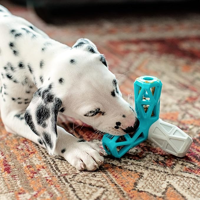 Messy Mutts Totally Pooched Squeak n' Stuff Pyramid | 5” TPR Dog Toy with Squeaker | Made for Tough Chewers | Interactive Treat Puzzle for Dogs | Grey/Teal