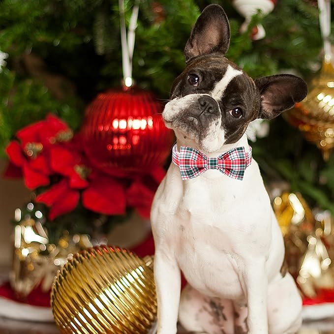 ARING PET Christmas Dog Collar with Bow, Cute Xmas Red Green Plaid Bowtie Pet Collars for Puppy Small Medium Large Girl Boy Dogs-S
