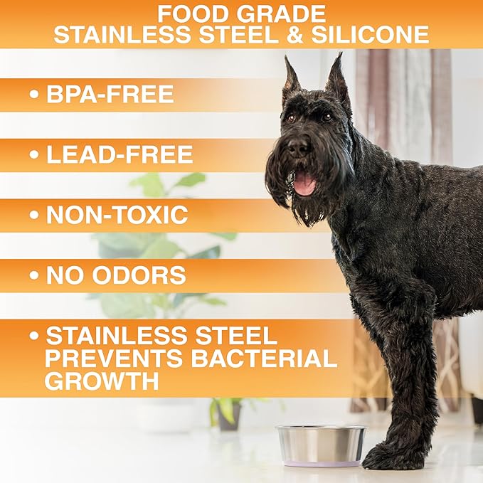Neater Pet Brands Stainless Steel Dog Bowls with Non-Slip Rubber Bottom – Set of 2, 4 Cup (32 oz), Pink - Heavy Duty Metal Dog Bowl, Dishwasher Safe, Food or Water Bowl, Ideal for Medium Dogs