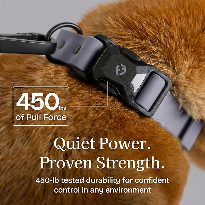 2026 New Edition, Fei & Eve PVC MagEase Dog Collar - Patented Magnetic Buckles | Fur-Safe | 450LB Escape-Proof | Adjustable Fit | Small (Twilight Gray)