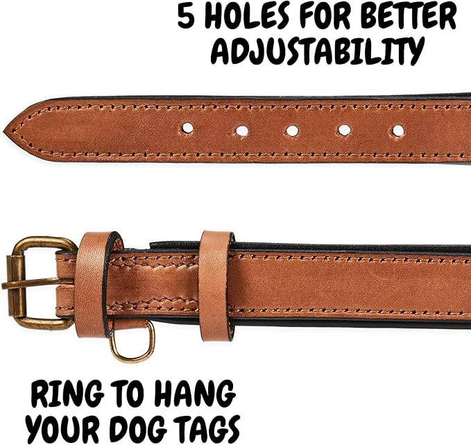 Real Leather Dog Collar Padded Soft Interiors with Premium Vintage Look Handcrafted Heavy Duty with Tag Ring for Small Medium and Large Pets (Small (1" Wide for 10.75" - 13.75" Neck), Cognac)