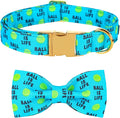 Lionet Paws Dog Collar with Bowtie - Cute Cotton Bowtie Dog Collar with Metal Buckle for Medium Dog Girl Boy, M, Neck 13.5-22in