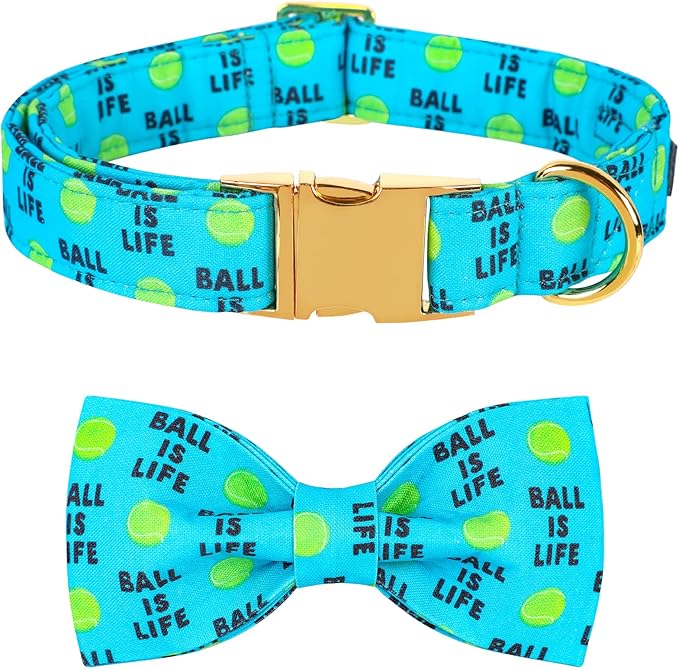 Lionet Paws Dog Collar with Bowtie - Cute Cotton Bowtie Dog Collar with Metal Buckle for Medium Dog Girl Boy, M, Neck 13.5-22in