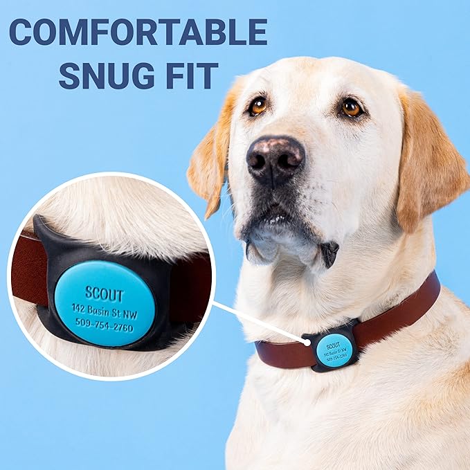GoTags Engraved Airtag Dog Collar Holder, Personalized Airtag Case for Pet Collar, Up to 4 Lines of Custom Text, Airtag Slide On Tag for GPS Dog Tracker, Track Dogs with iPhone (Personalized, Small)