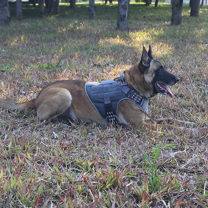 ICEFANG Tactical Dog Harness, Large Size,2X Metal Buckle,Working Dog MOLLE Vest with Handle,No Pulling Front Leash Clip,Hook and Loop Panel (Grey,L (Pack of 1))